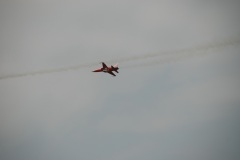 DSC_5493