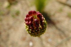 DSCF7716_Web