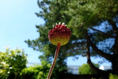 DSCF7720_Web