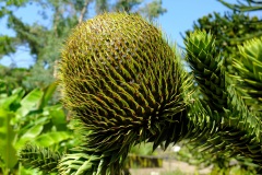 DSCF7789_Web