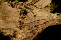 XT2B3155_Web