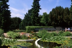Berlin_BotGarten_Seerosenbecken_001