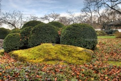 BotGarten_HDRresult