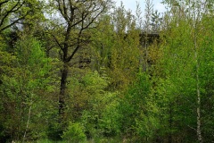 DSCF8577_001