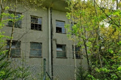 DSCF8583_001