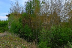 DSCF8586_001