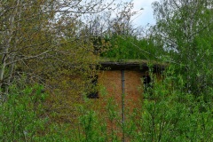 DSCF8588_001