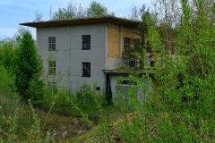 DSCF8591_001
