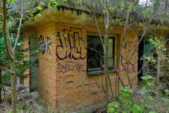 DSCF8599_001