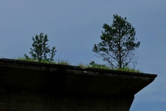 DSCF8602_001