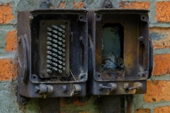 DSCF8617_001
