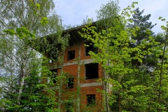 DSCF8622_001