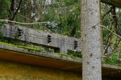 DSCF8636_001
