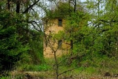 DSCF8646_001