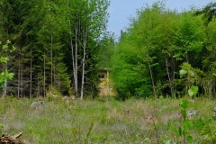 DSCF8648_001