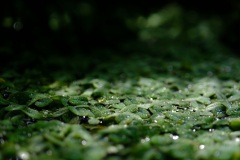 XT2B3761
