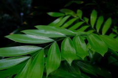 XT2B3795