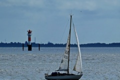 2025-08-17_11-21-33