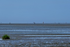 2025-08-15_13-39-56