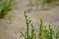 2025-08-17_14-00-25