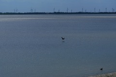 2025-08-16_14-19-52