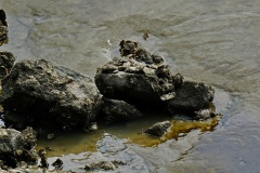 2025-08-17_11-19-08