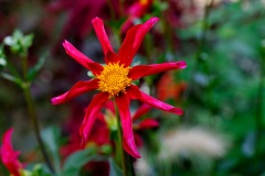 XT2B3936