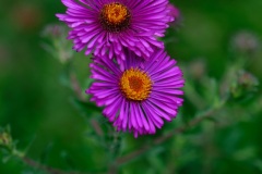 XT2B3948