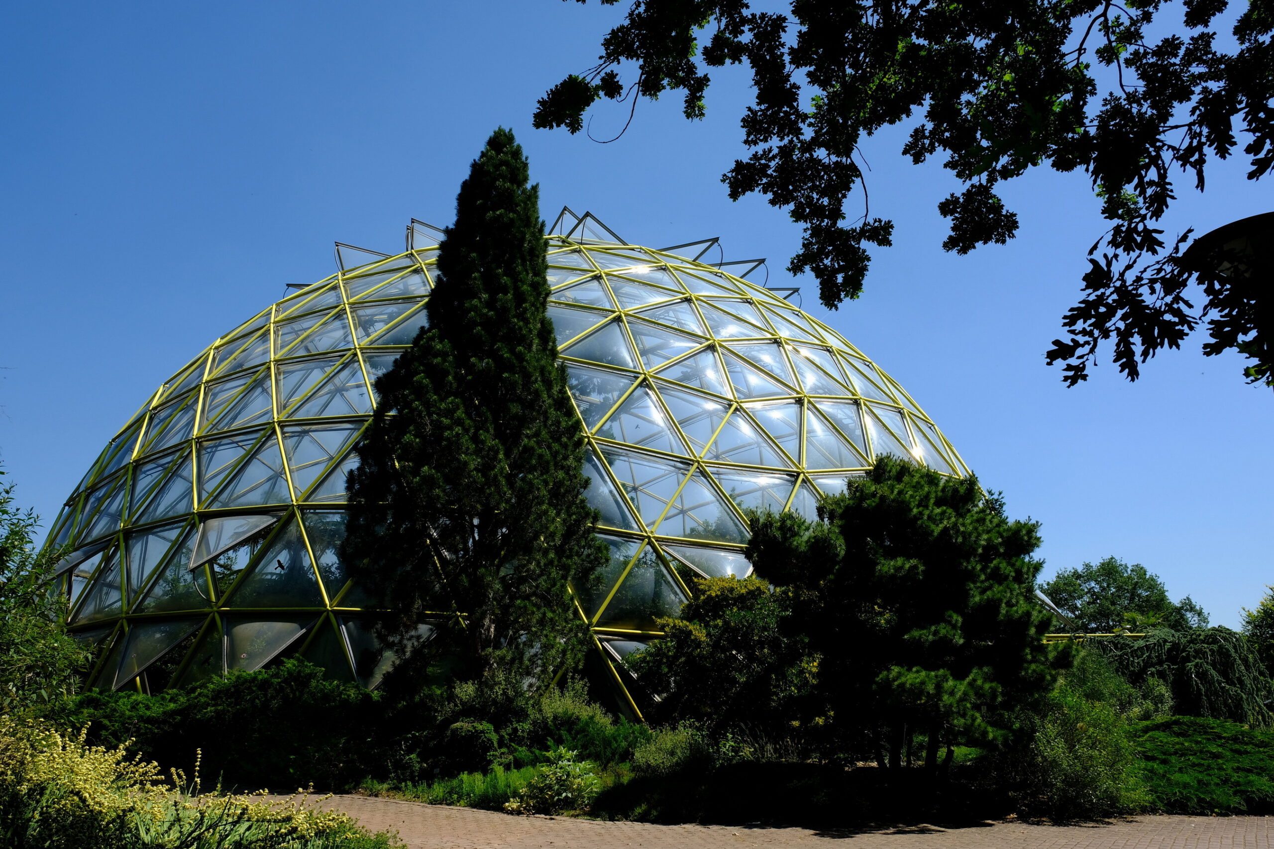 Botanischer Garten Düsseldorf