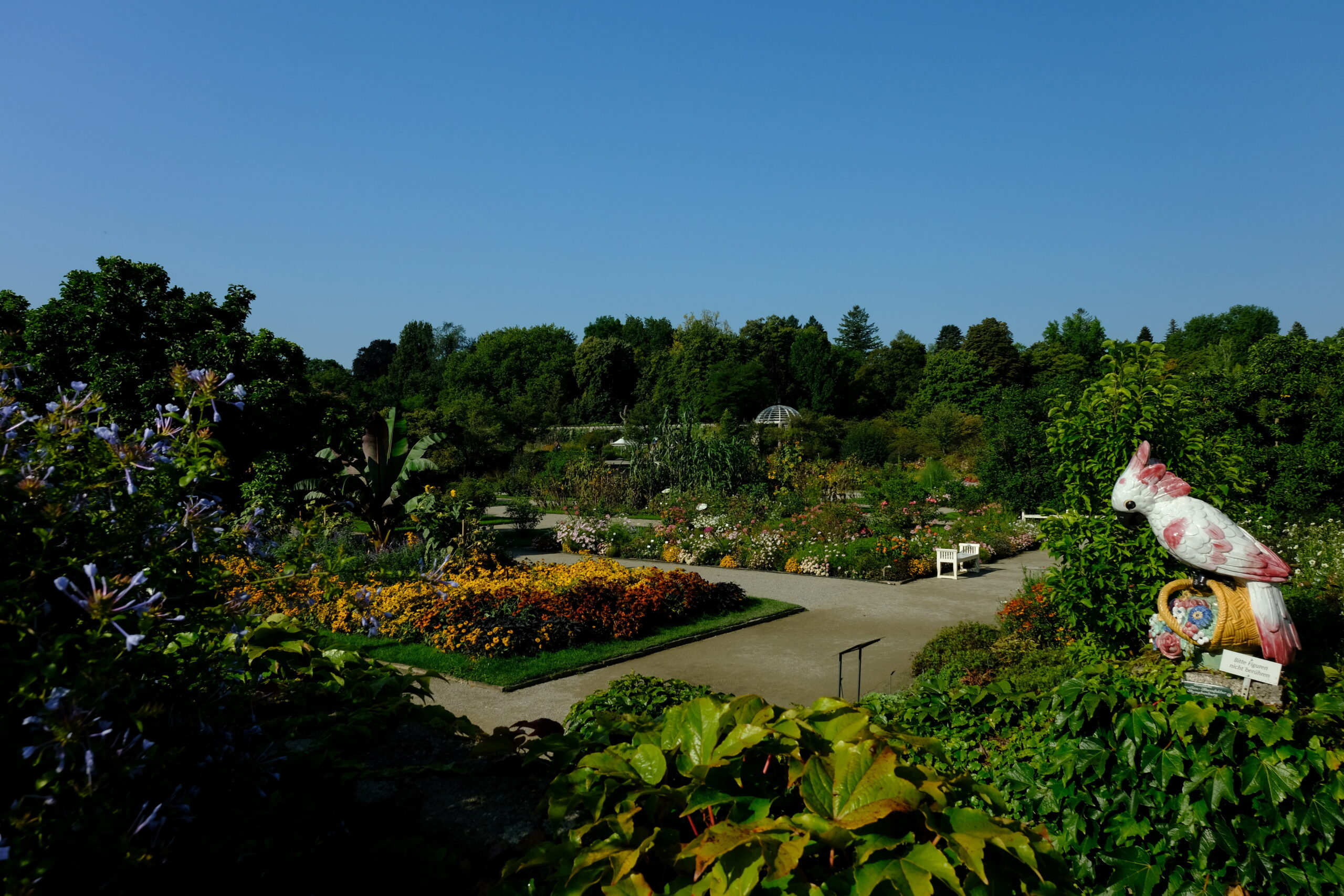 Botanischer Garten München