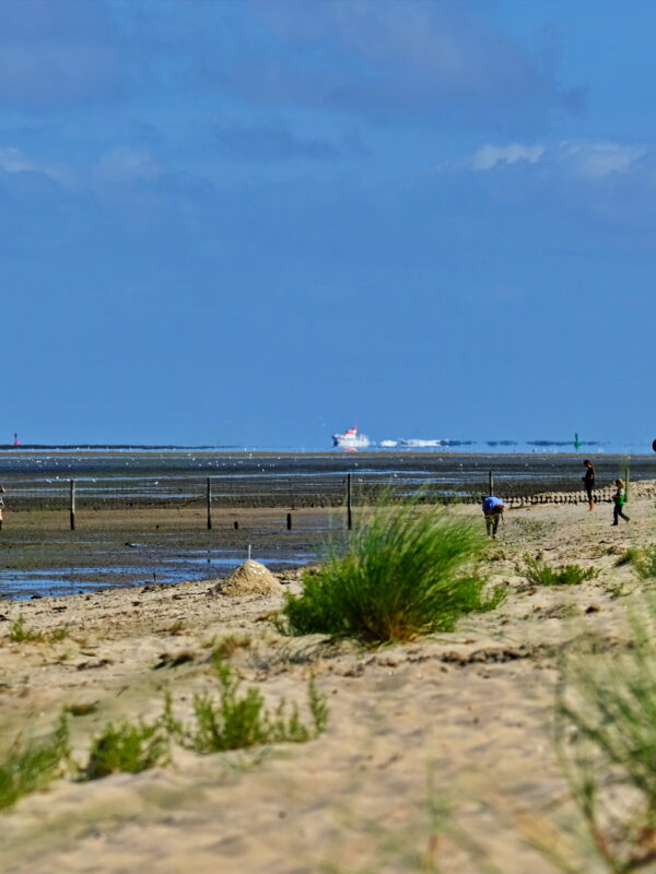 Düne – Strand – Watt – Meer