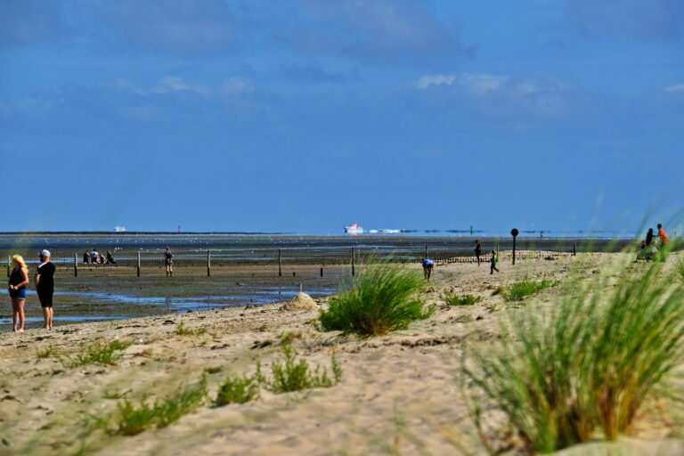 Düne – Strand – Watt – Meer