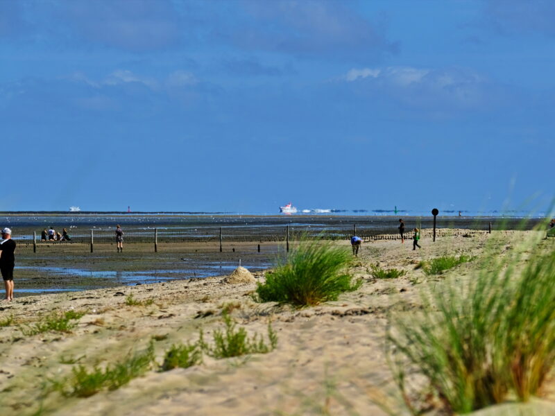Düne – Strand – Watt – Meer